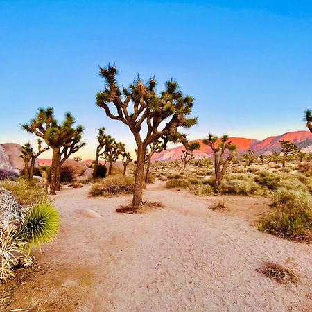 Villa The Joshua Tree House Exterior foto